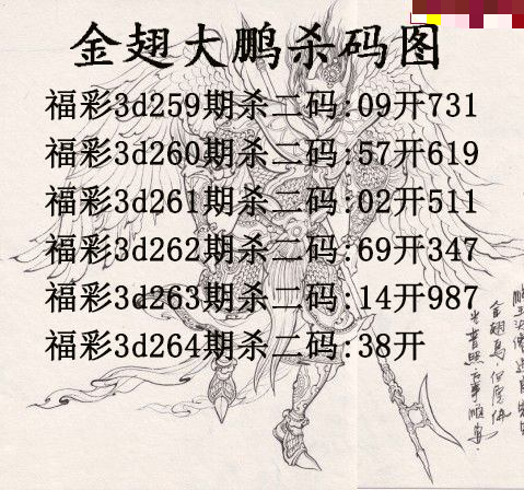 金翅大鹏杀码