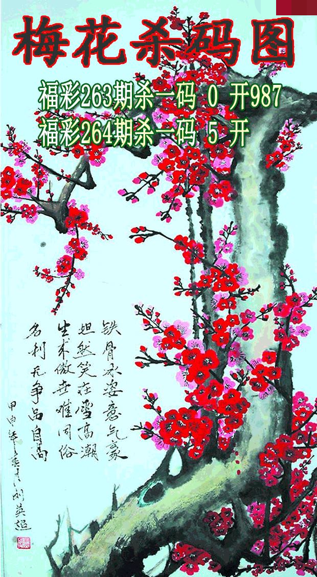 梅花杀码