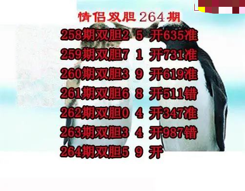 情侣双胆