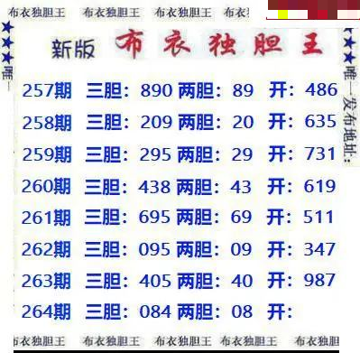 新版布衣独胆王