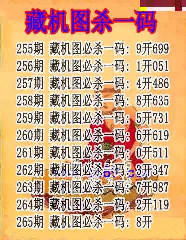 藏机图杀码