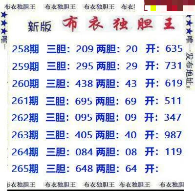 新版布衣独胆王