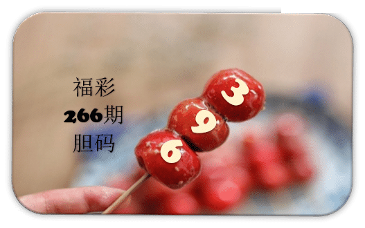 串串胆码图