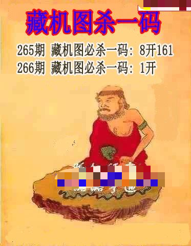 藏机图杀码