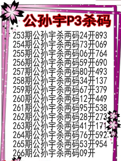 公孙宇杀码图