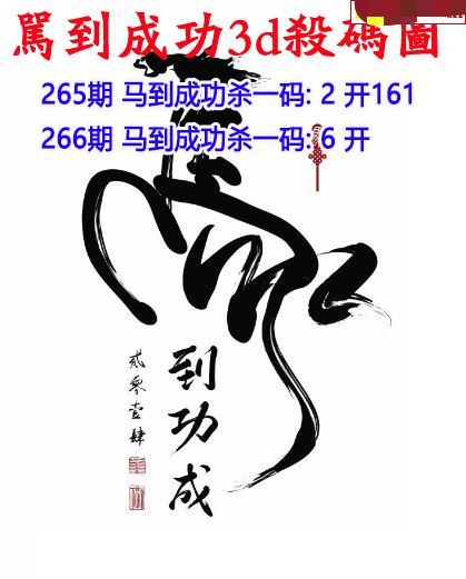 马到成功杀码