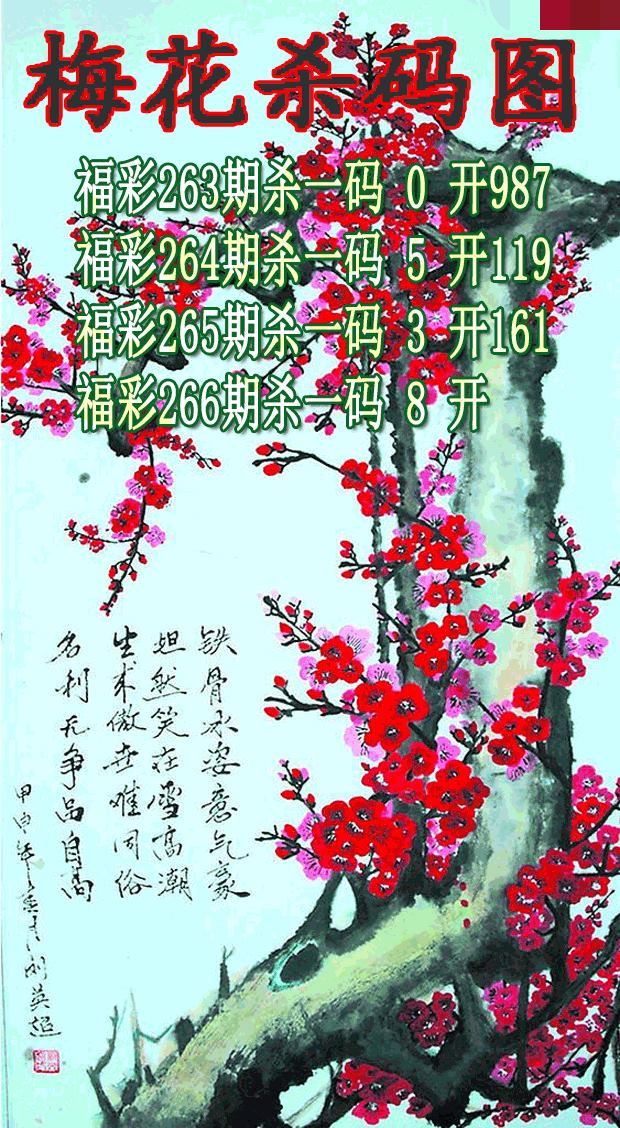 梅花杀码
