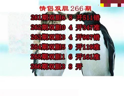 情侣双胆