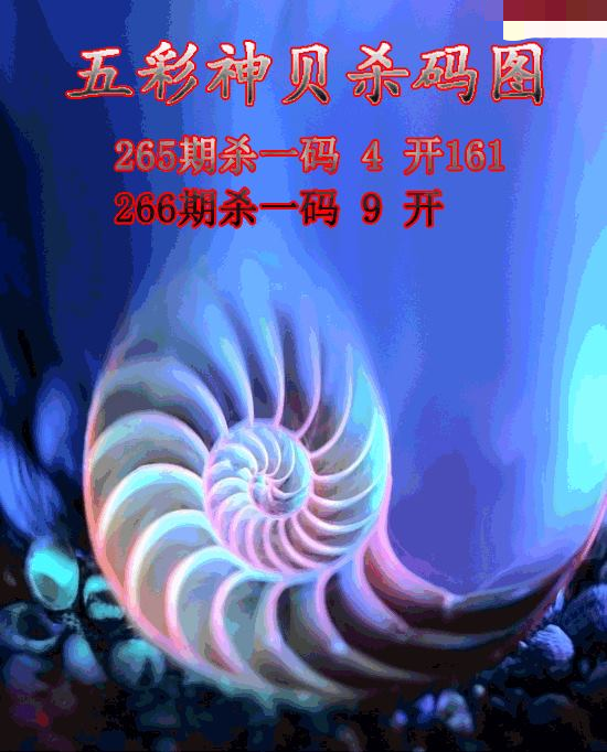 五彩神贝杀码