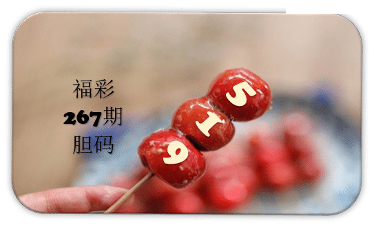 串串胆码图
