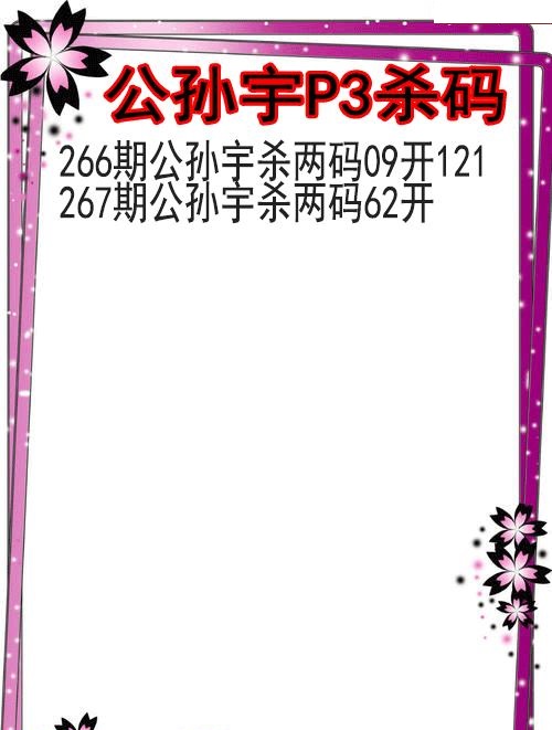公孙宇杀码图