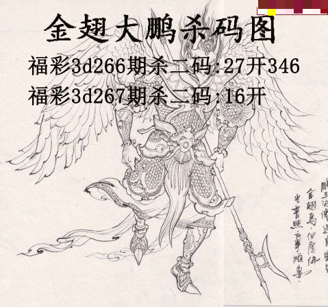 金翅大鹏杀码