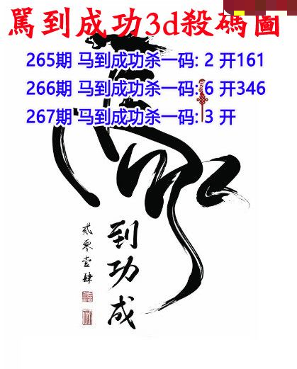 马到成功杀码