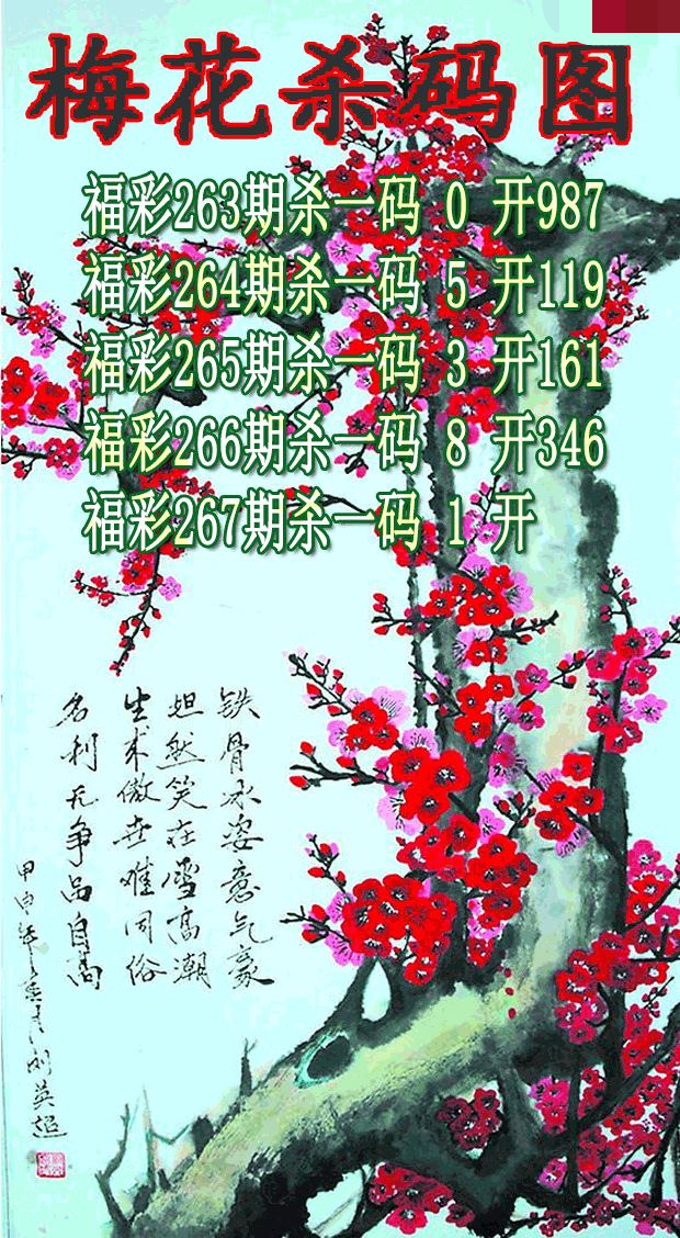 梅花杀码