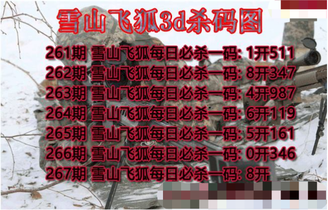 雪山飞狐杀码