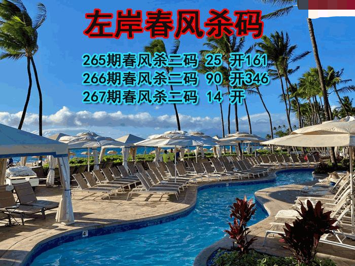 左岸春风杀码