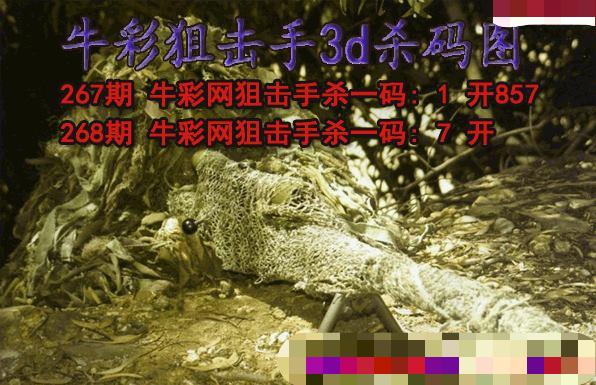 牛彩狙击手杀码