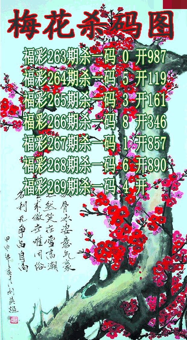 梅花杀码