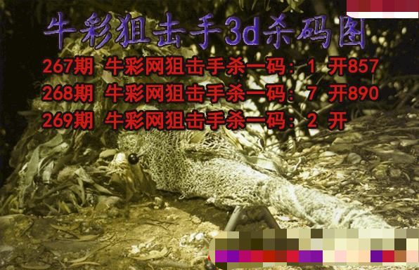 牛彩狙击手杀码