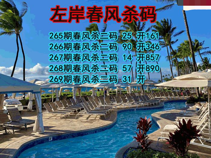 左岸春风杀码