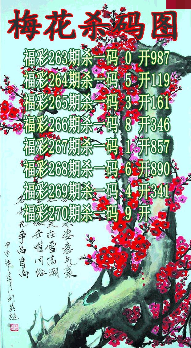 梅花杀码