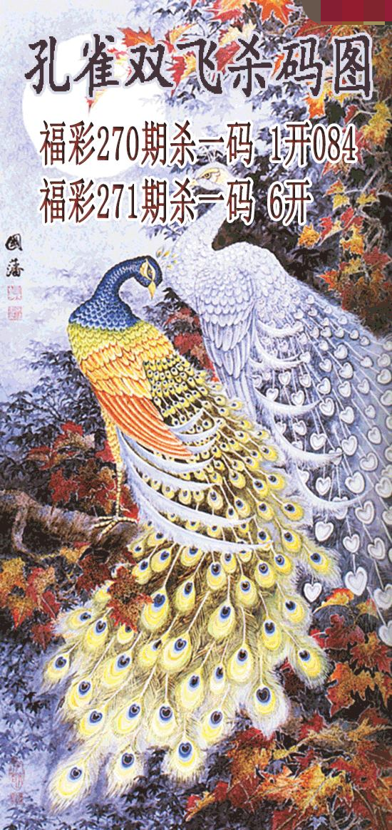 孔雀双飞杀码