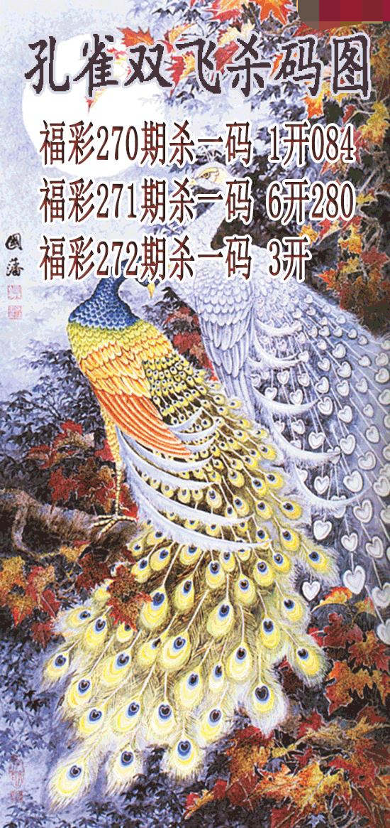 孔雀双飞杀码