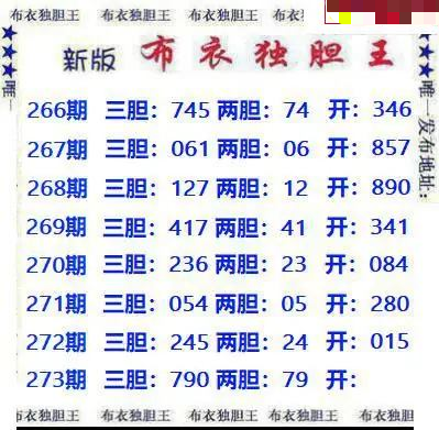 新版布衣独胆王