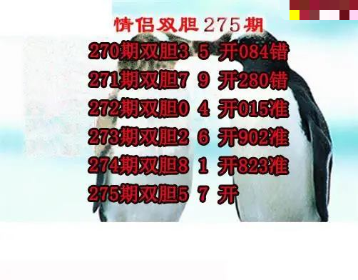 情侣双胆