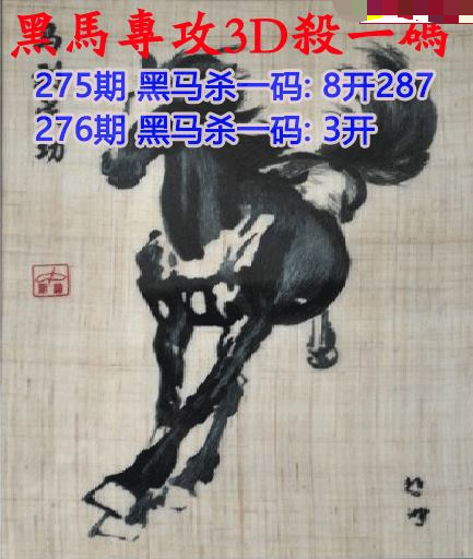 黑马杀码
