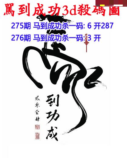 马到成功杀码