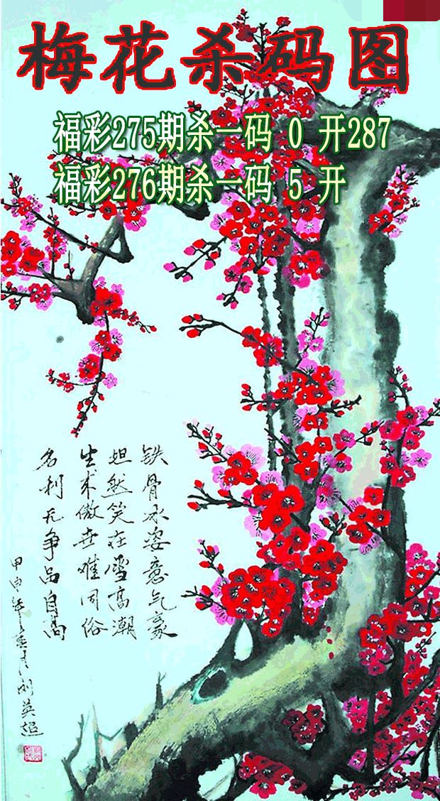 梅花杀码