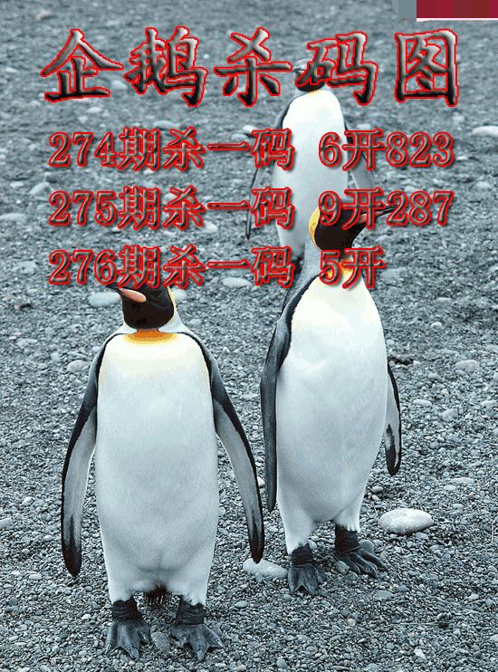 企鹅杀码