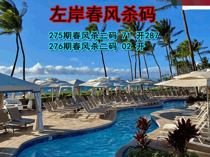 左岸春风杀码