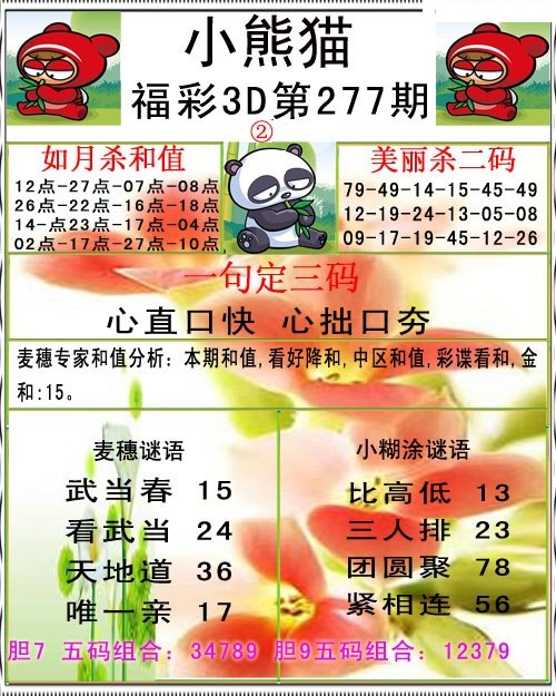 福彩小熊猫B/></a> </p></div>
</div>

<div class=