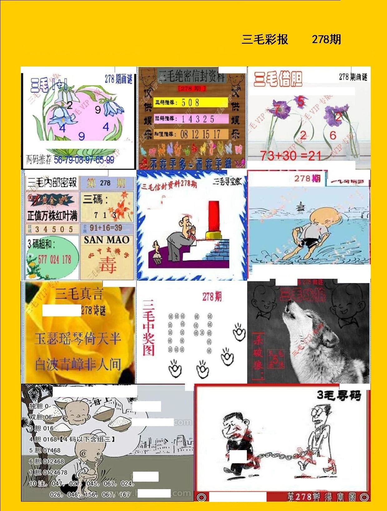 三毛彩报