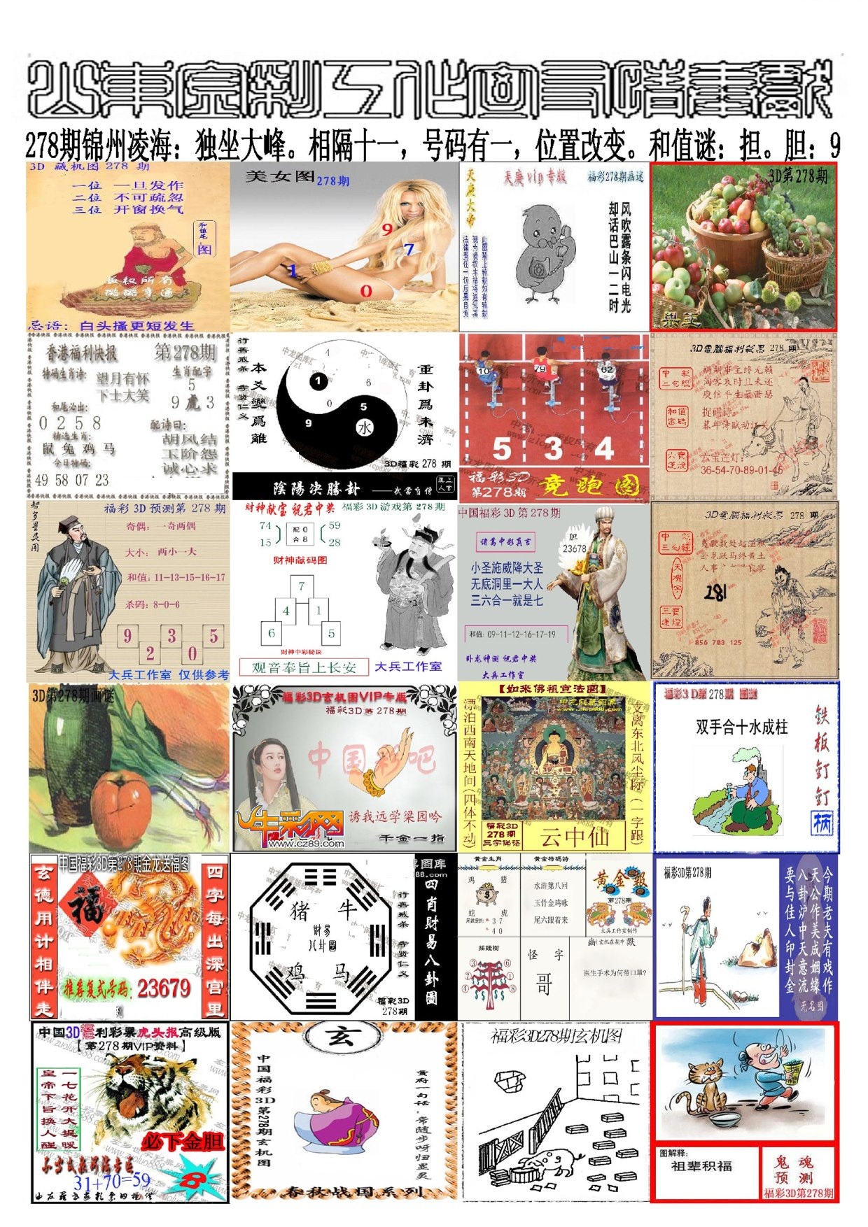 山东金彩