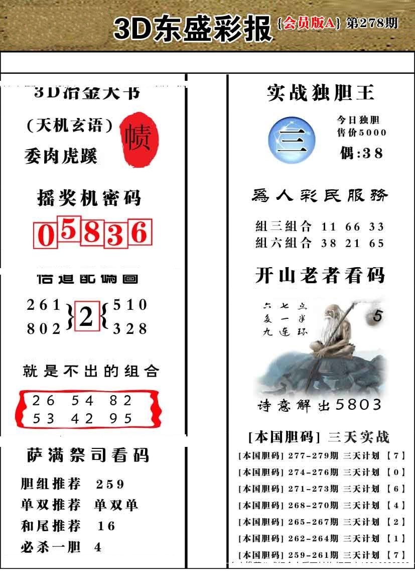 东盛会员版A版