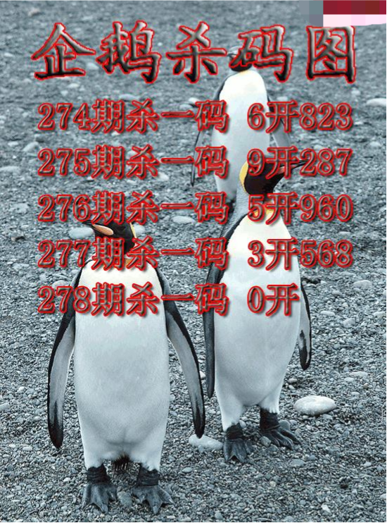 企鹅杀码