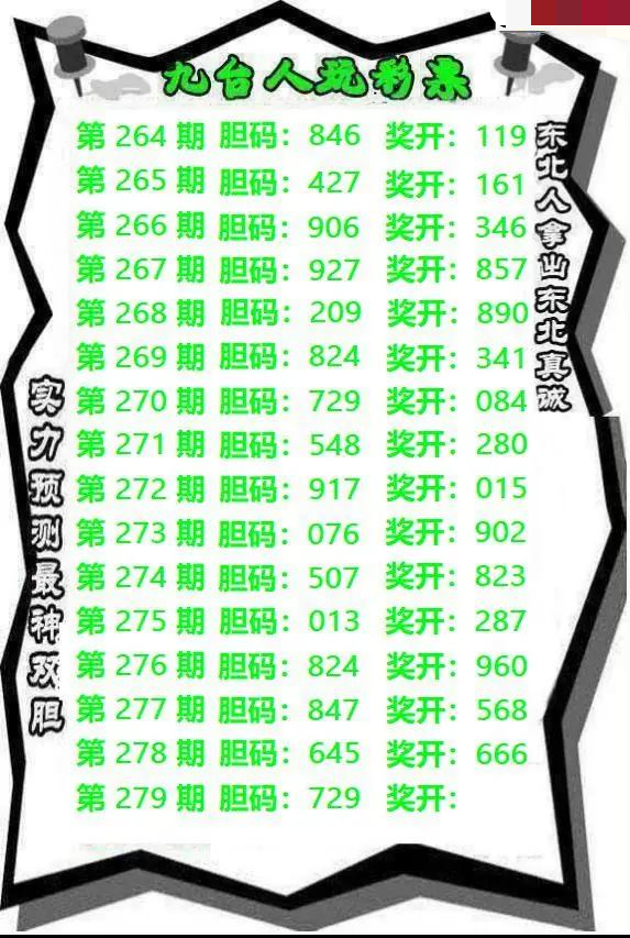 九台胆码