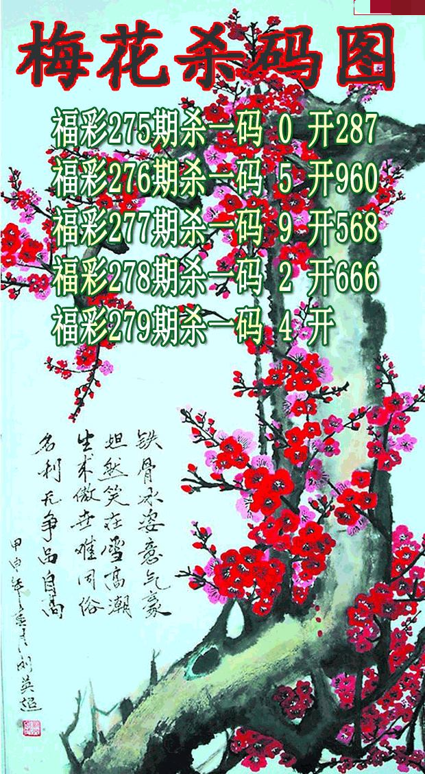 梅花杀码