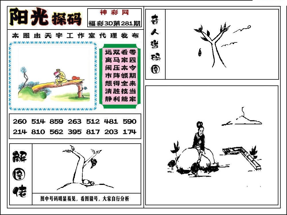 3D阳光探码
