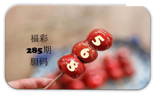 串串胆码图