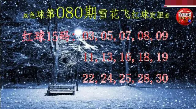 雪花飞红球图