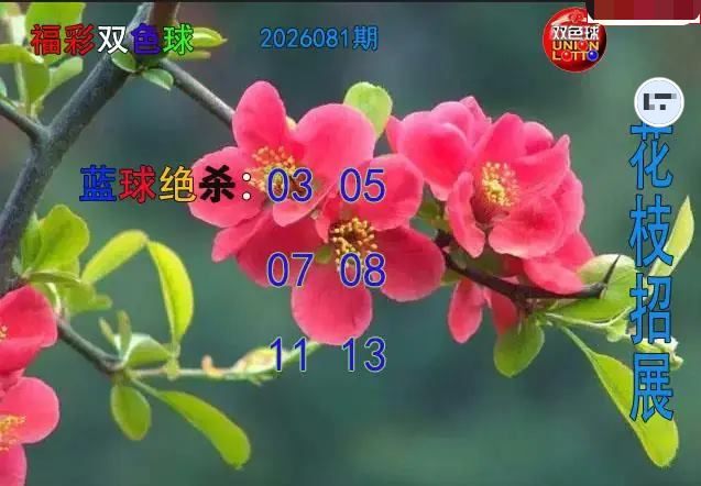 花枝招展蓝球绝杀图 