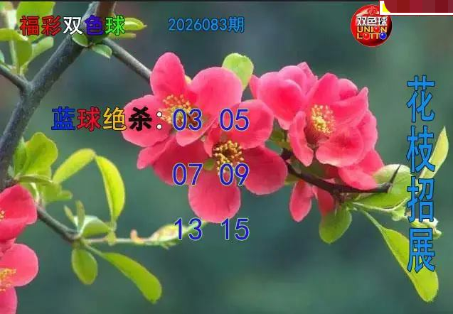 花枝招展蓝球绝杀图 