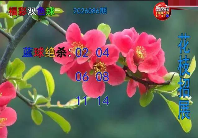 花枝招展蓝球绝杀图 