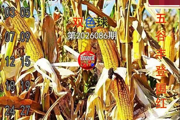 五谷丰登围红图