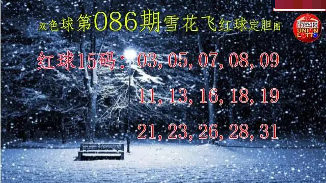 雪花飞红球图