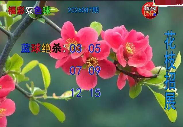 花枝招展蓝球绝杀图 